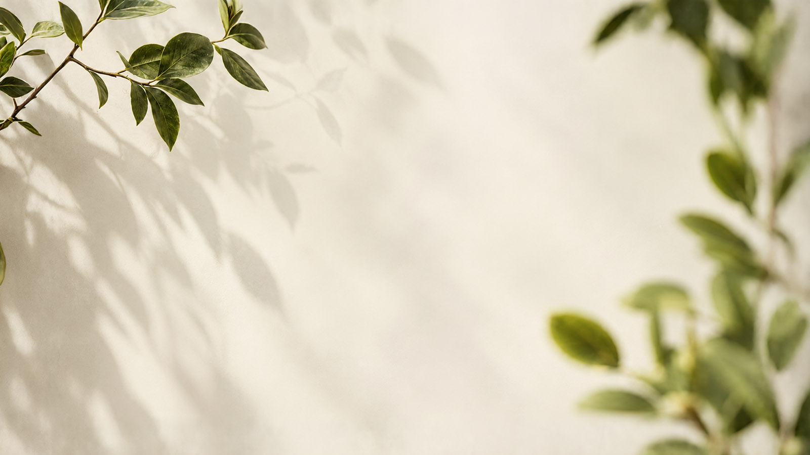 Detalhes acolhedores da Plante Sorrisos